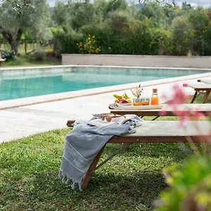 Tra Gli Ulivi, Chiappini Alloggio per agriturismo Bolgheri